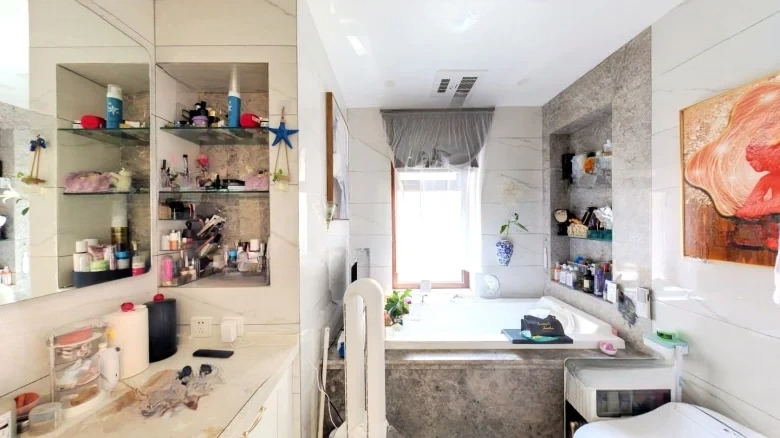 Shimao Xin Wuliheshan - View 8