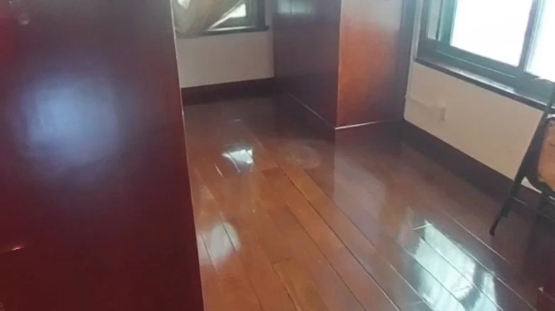 Dragon Tiger Mansion Villa - View 21