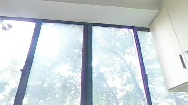 Heavenly Peace and Prosperity Garden - View 35