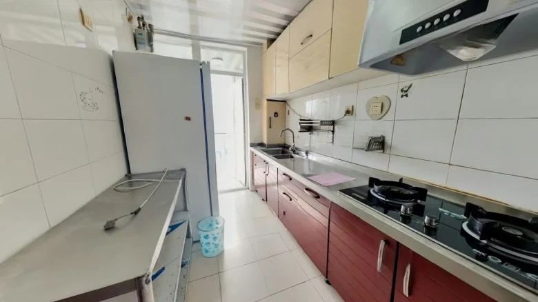 New Long City - View 5