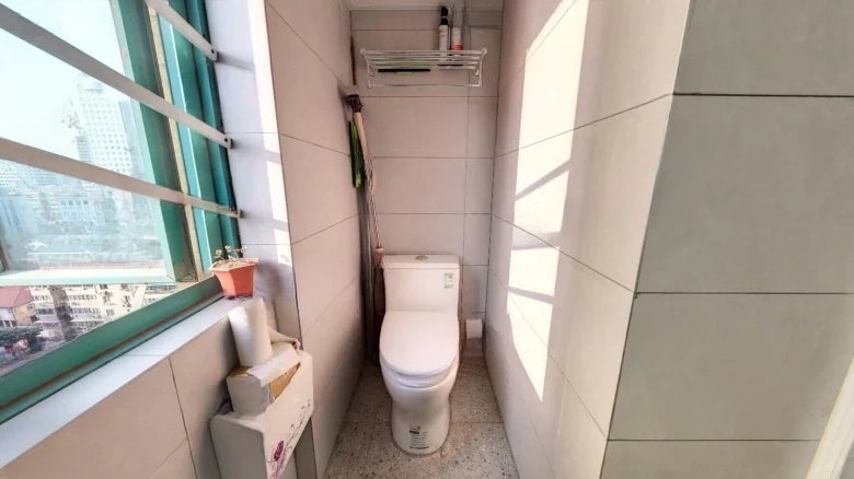 Golden Wheel Tower - View 6