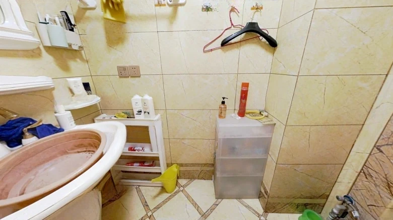 Golden Land Platinum Joy - View 6