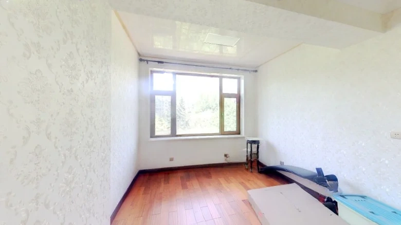 Changchun Pearl - View 7