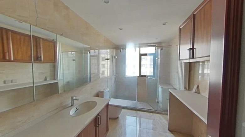 Shimao Twelve Mansion - View 11