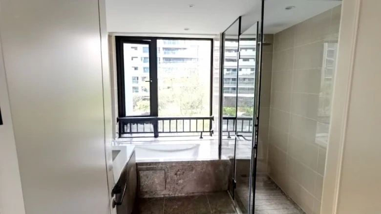 Green City · Phoenix Perches, Egrets Singing - View 13