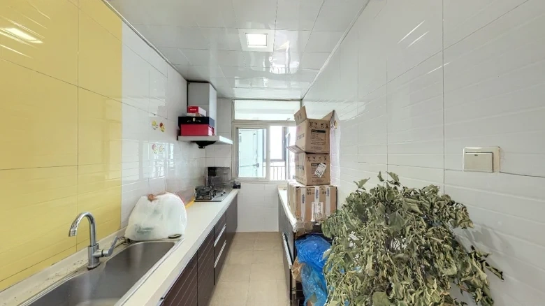 Distant West Mansion (Private Residences) - View 5