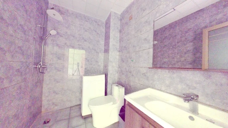 Poly Real Roland Sea Coast - View 14