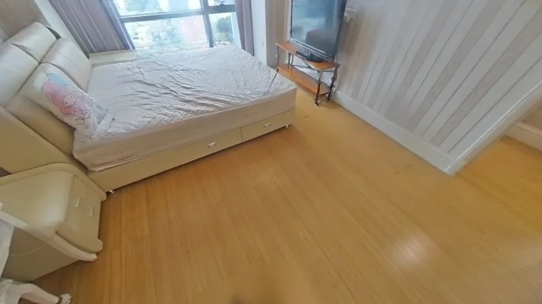 New Land International Apartment - View 2