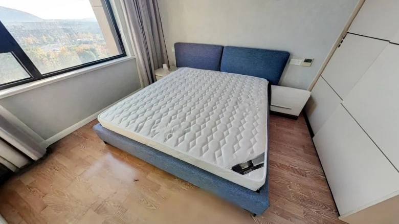 Starlight Magnificence Plaza - View 4