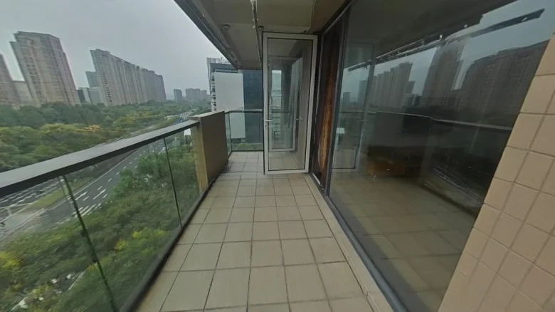 Zhan Cheng Lin Feng Qin林Yuan - View 11