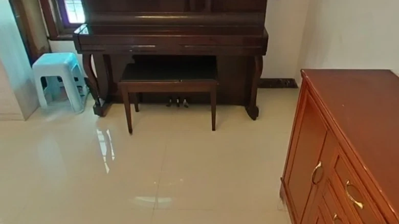 Dragon Tiger Mansion Villa - View 8