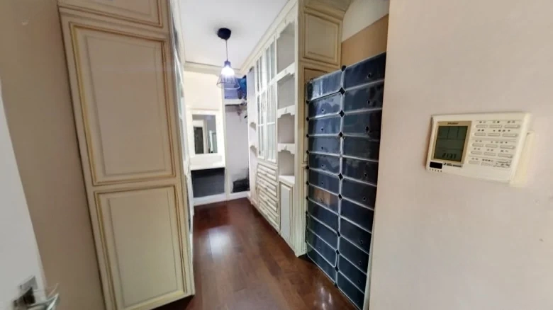 Maple Dan No.1 - View 4