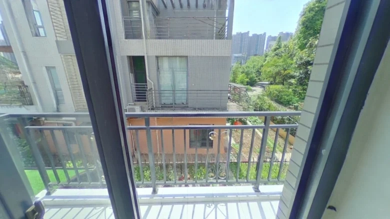 Blue Mountain Beauty Trees - View 14