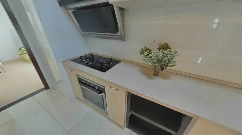 Shimao Xin Wuli River - View 6