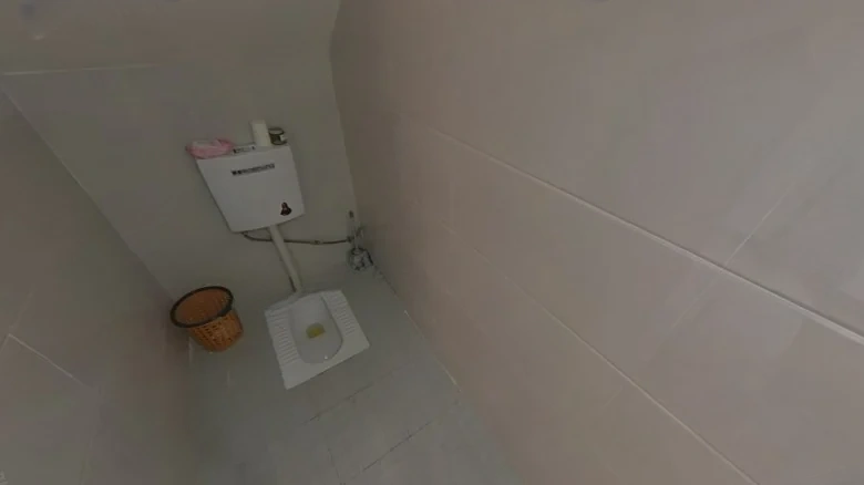 Zhongmei Phoenix Green City Phase IV - View 5