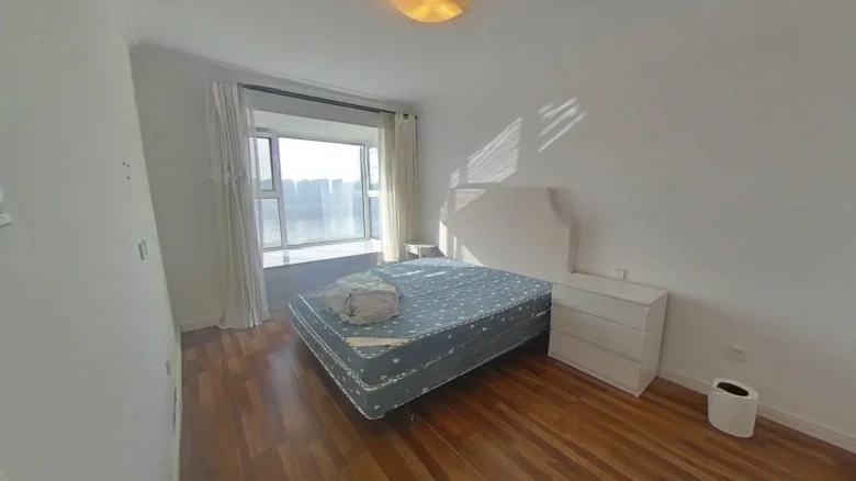 Shangjing Xin Shijie - View 2