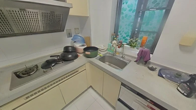 View Mountain Garden - View 4