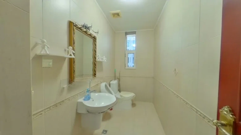 Green Cloud Reflecting Mountains - View 9