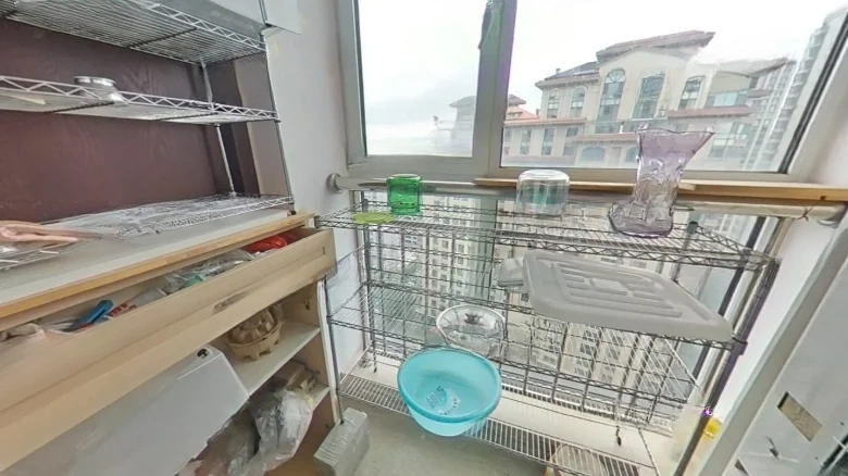 Xinhua Jin Edinburgh International Apartment - View 15