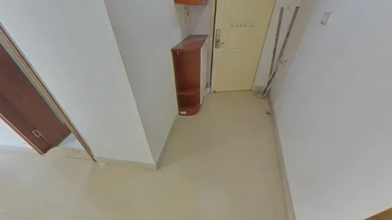 Zhengjia Oriental International - View 8