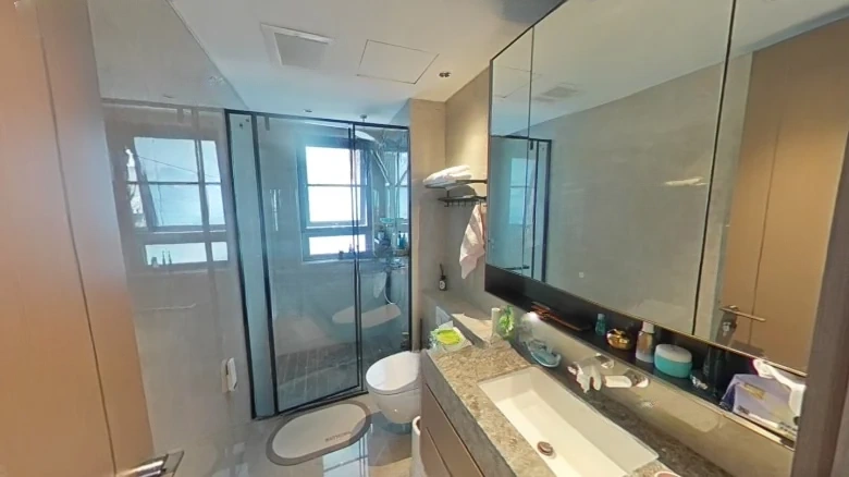 Jiangxin Seal - View 10