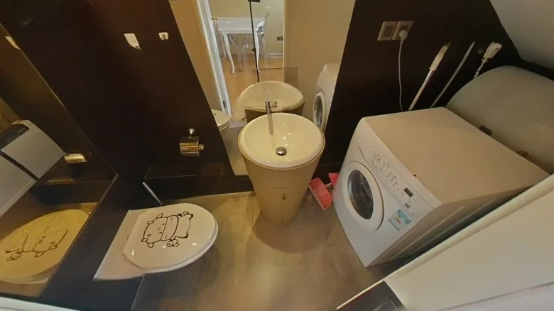 Hanfeng Peak Public Mansion - View 9