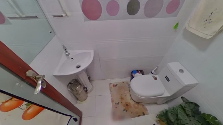 Balley Rain Joy City North District - View 8