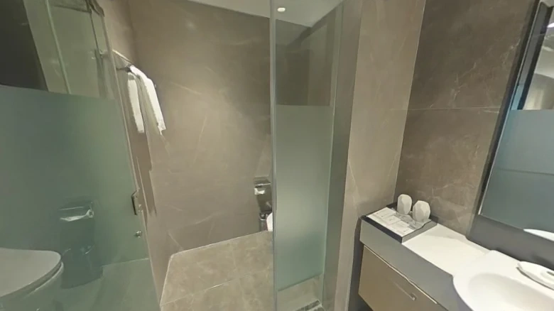 Tongzilin 7号 - View 5