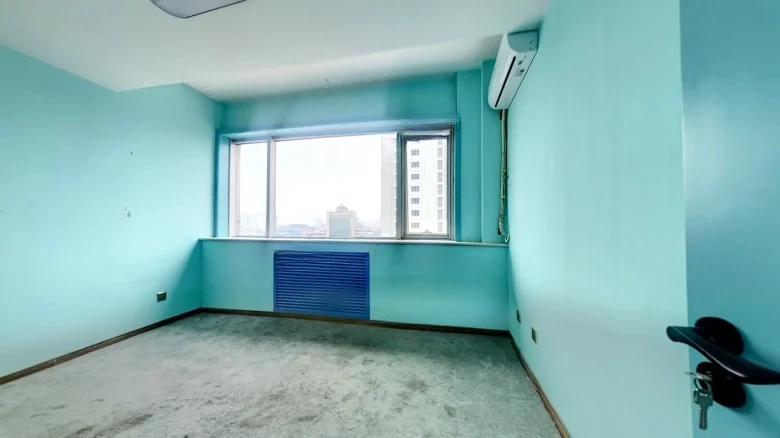 Ginza Crystal Capital International - View 3