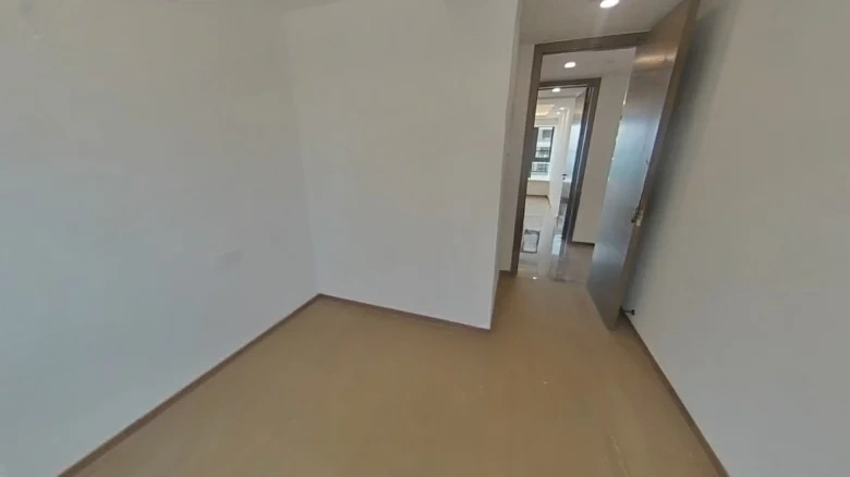 Binhjiang Mansion 1913 - View 3