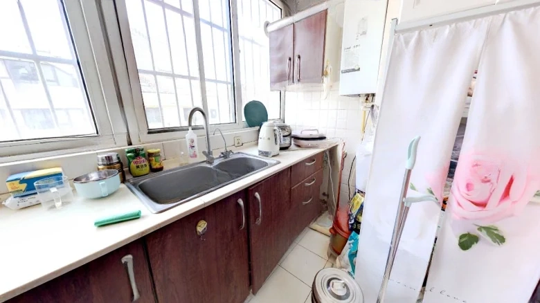 Taiwan Garden - View 7