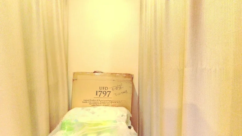 Crescent Splendor Mansion - View 12