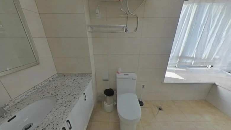 Zhan Cheng Lin Feng Qin林Yuan - View 6