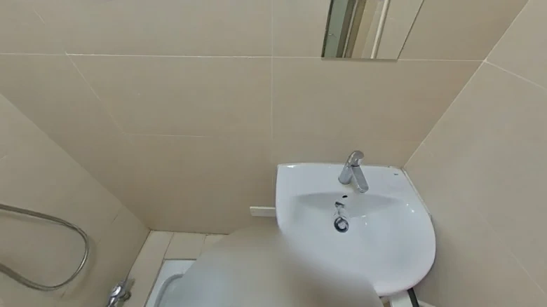 Pearl River Emperor View Garden Hersheng Purple Dragon Mansion - View 9