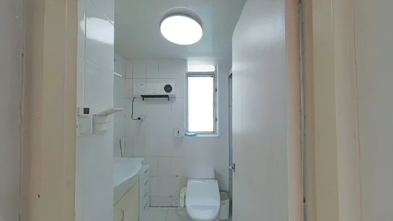 Palm Garden - View 8