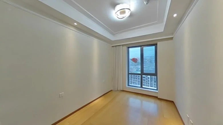 Zhongxin Fengyue City - View 3