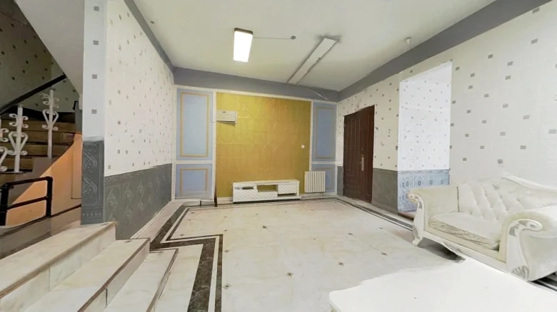 Swan Castle - View 6