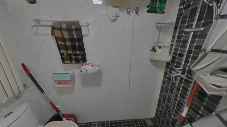 Peach Blossom Spring Landscape - View 5