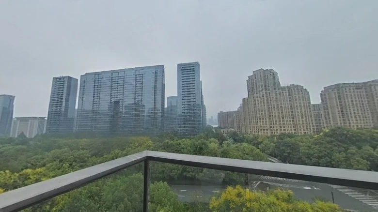 Zhan Cheng Lin Feng Qin林Yuan - View 10