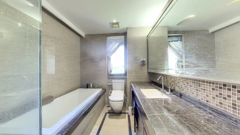 Poly Central Park - View 14