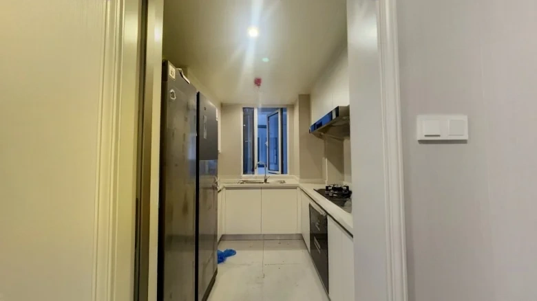 Binhai Wàngtāo Moonlit - View 7