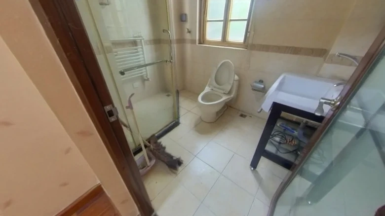 Water Cloud Interval - View 11