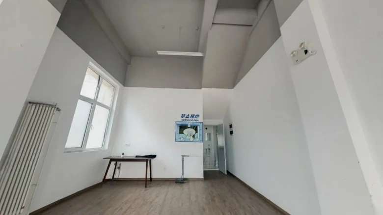 Lucy's Tai Shan No. 7 - View 2