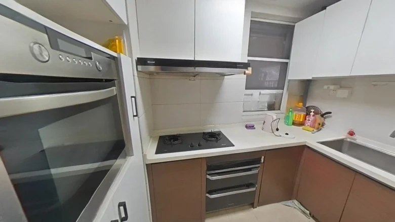 Poly Central Park North District - View 5