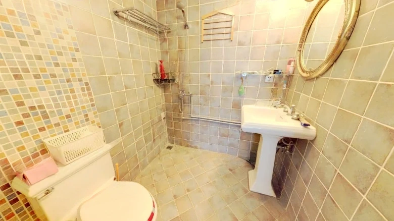 Cui Ping International Ginkgo Garden - View 6