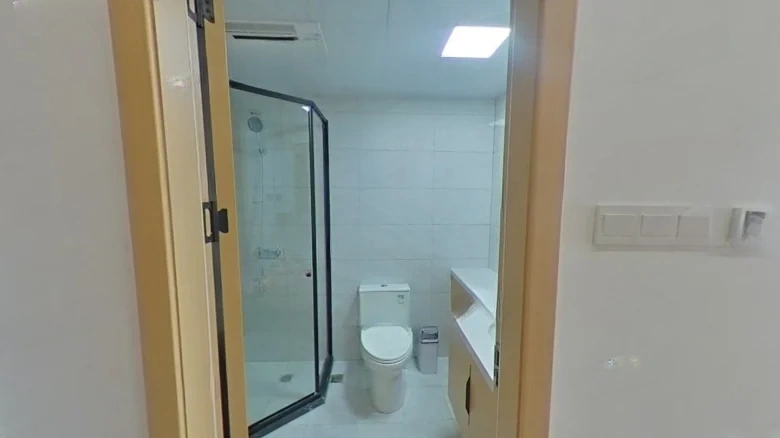 Zhonghuan International - View 5