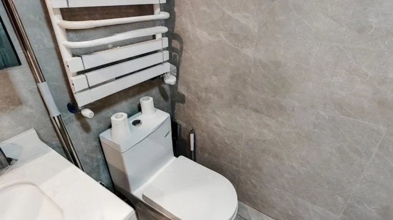 Jiuxi City Mansion首席府邸 should be translated more contextually depending on its exact meaning, but if we consider - View 7