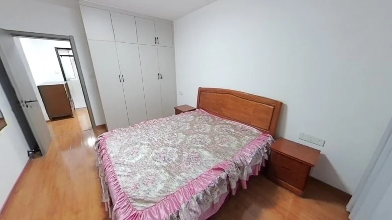 Hongwu Road - View 3