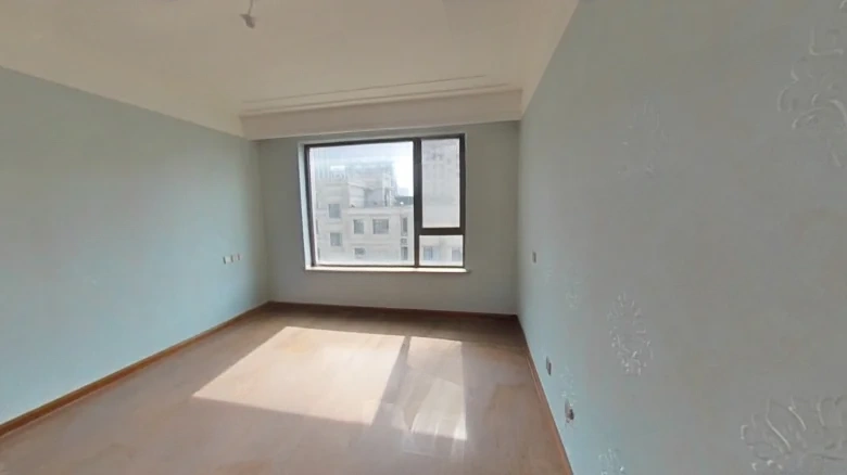 Shimao Twelve Mansion - View 4