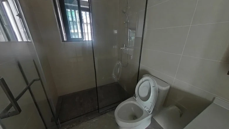 Green City · Phoenix Perches, Egrets Singing - View 9